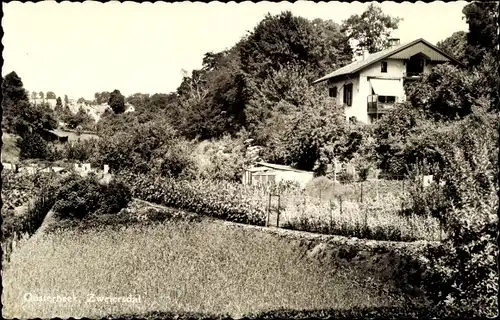 Ak Oosterbeek Renkum Gelderland, Zweiersdal