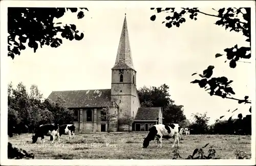 Ak Voorthuizen Barneveld Gelderland Niederlande, N. H. Kirche, weidende Kühe