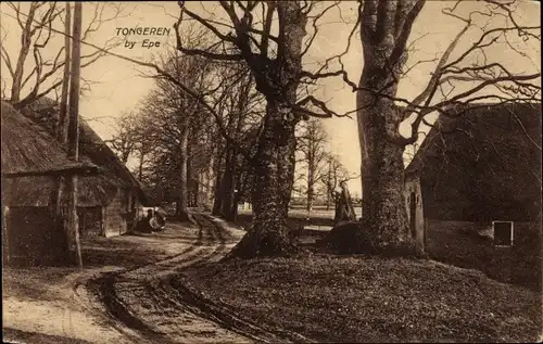 Ak Tongeren Epe Gelderland Niederlande, Dorfpartie