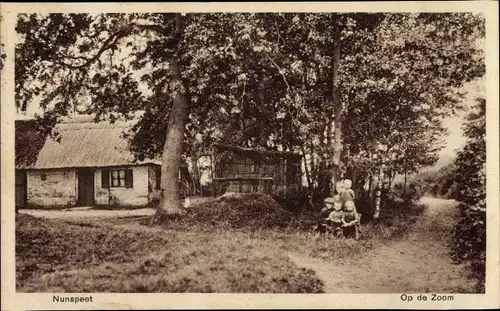 Ak Nunspeet Gelderland, Op de Zoom