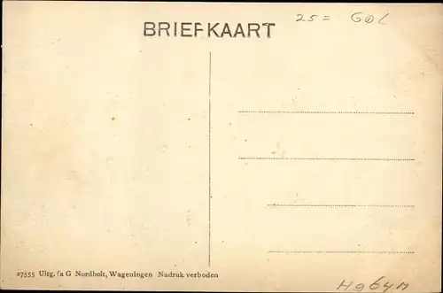 Ak Wageningen Gelderland Niederlande, Domeinweg