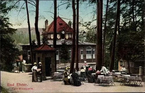 Ak Bad Elster im Vogtland, Café Waldquelle