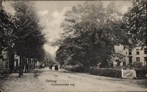 Ak Terborg Gelderland, Doetinchem-Straße