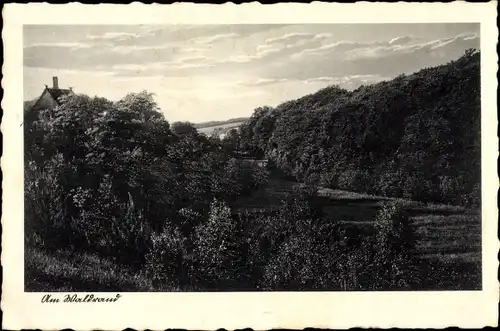 Ak Pönitz Scharbeutz in Ostholstein, Am Waldrand