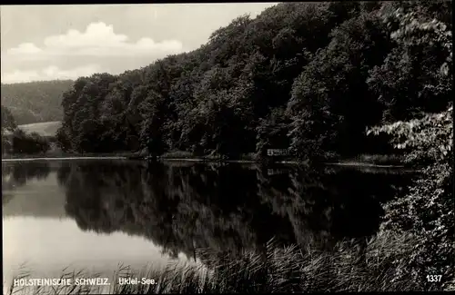 Ak Eutin in Ostholstein, Ukleisee, Ugleisee, Wald