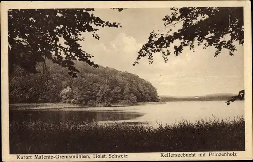 Ak Gremsmühlen Malente in Ostholstein, Kellerseebucht, Prinzenholz