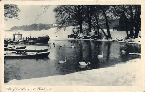 Ak Ratzeburg im Herzogtum Lauenburg, Großer See, Fischerei, Winter, Schwäne