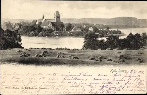 Ak Ratzeburg im Herzogtum Lauenburg, Totalansicht