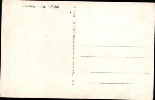 Ak Ratzeburg i. Lauenburg, Mühle