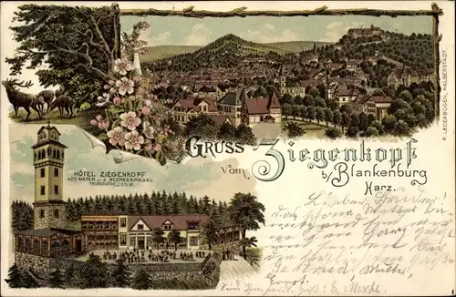 Litho Blankenburg am Harz, Panorama, Hotel Ziegenkopf