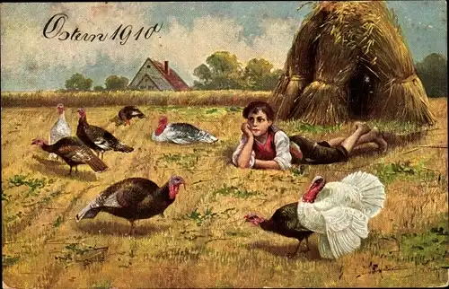 Künstler Ak Truthähne, Weizenfeld, Ernte, Junge
