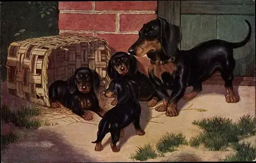 Künstler Ak Dackel, Hündin mit Welpen