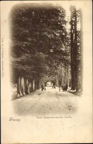 Ak De Steeg Rheden Gelderland, Laan Klarenbeeksche bosch