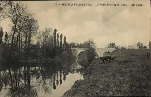 Ak Maisons Laffitte Yvelines, Le Petit Bras und die Brücke