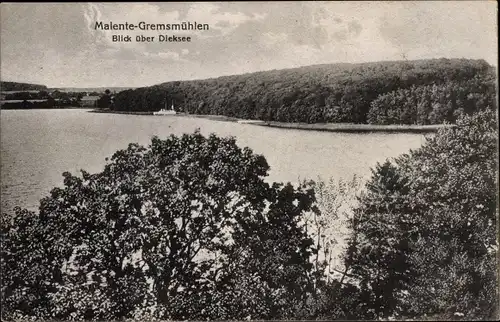 Ak Gremsmühlen Malente in Ostholstein, Dieksee, Wald