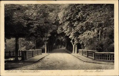 Ak Malente Gremsmühlen, Bei der Mühle