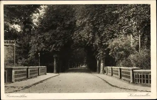 Ak Gremsmühlen Malente in Ostholstein, Kastanienallee