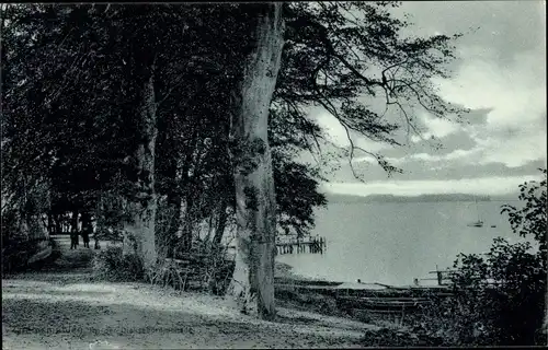 Ak Gremsmühlen Malente in Ostholstein, Diekseepromenade