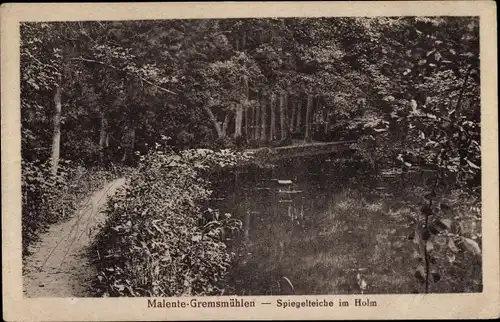 Ak Gremsmühlen Malente in Ostholstein, Spiegelteiche im Holm