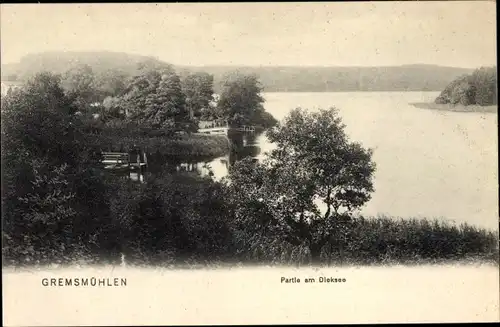 Ak Gremsmühlen Malente in Ostholstein, Dieksee, Wald