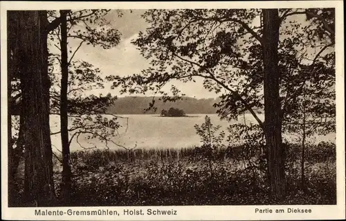 Ak Gremsmühlen Malente in Ostholstein, Dieksee, Insel