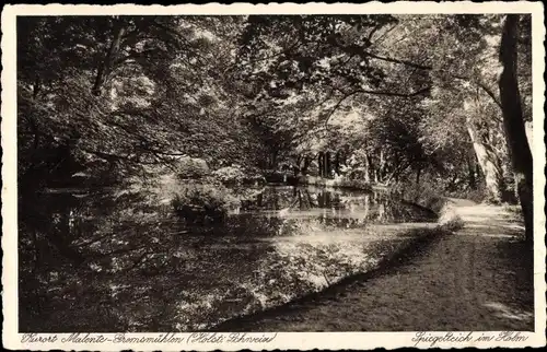 Ak Gremsmühlen Malente in Ostholstein, Spiegelteich im Holm, Wald