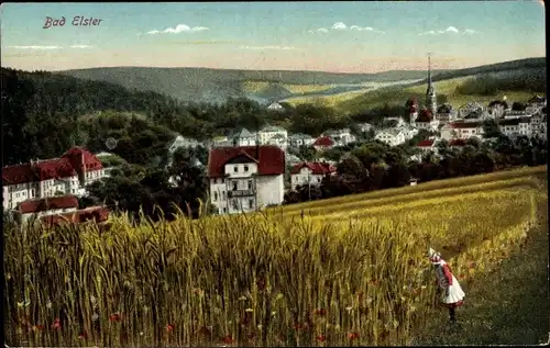 Ak Bad Elster im Vogtland, Panorama, Getreidefeld