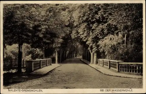 Ak Gremsmühlen Malente in Ostholstein, bei der Wassermühle, Baumallee