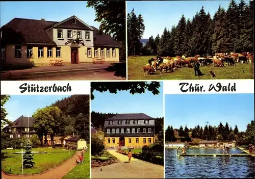 Ak Stützerbach Ilmenau Thüringer Wald, Gasthaus Auerhahn, Goethehaus, Schwimmbad, Kurpark