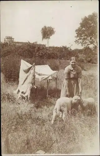 Foto Ak Potsdam in Brandenburg, Junge Frau, Wiese, Schafe