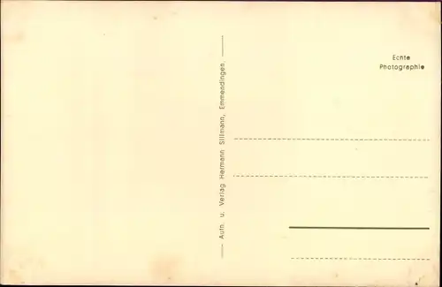 Ak Emmendingen im Breisgau Baden, Panorama, Kaiserstuhl