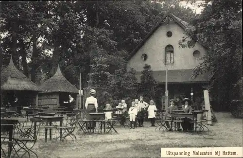 Ak Hattem Gelderland Niederlande, Uitspanning Molecaten