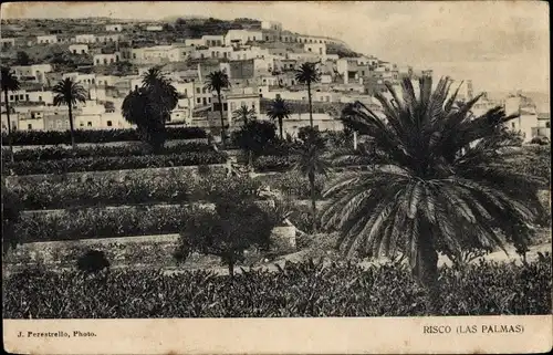 Ak Risco Las Palmas de Gran Canaria Kanarische Inseln, Panorama