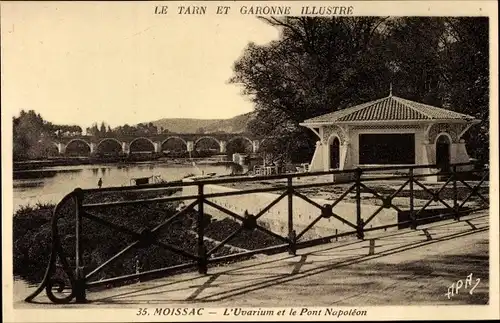 Ak Moissac Tarn et Garonne, Uvarium, Pont Napoleon