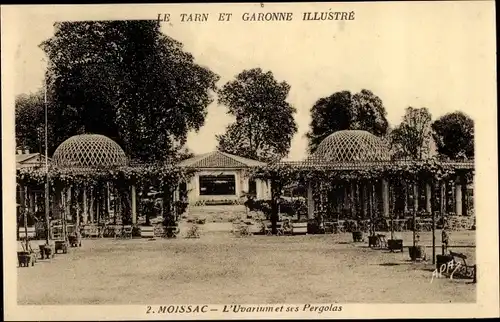 Ak Moissac Tarn et Garonne, Das Uvarium und seine Pergolen