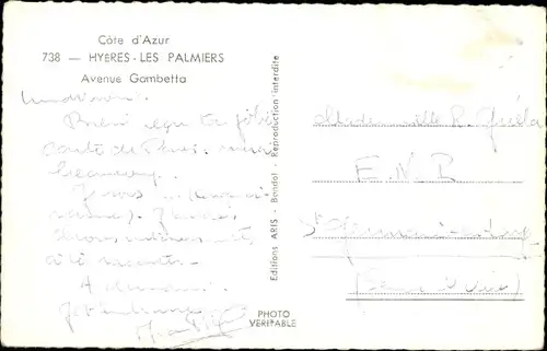 Ak Hyères les Palmiers Var, Avenue Gambetta