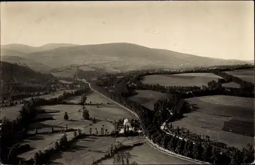 Ak Pierre Segade Viane Tarn, Avenue de Lacaune