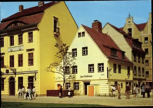 Ak Berlin Mitte, Gasthaus Zum Nussbaum im Nikolaiviertel