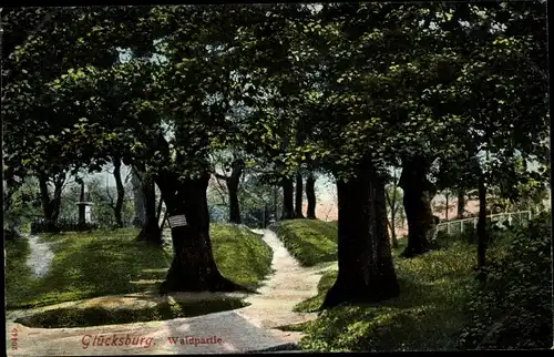 Ak Glücksburg an der Ostsee, Waldweg