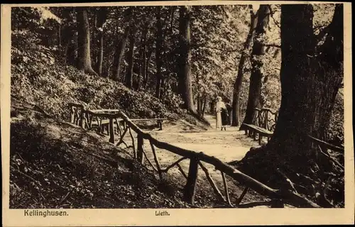 Ak Kellinghusen in Holstein, Lieth, Waldweg