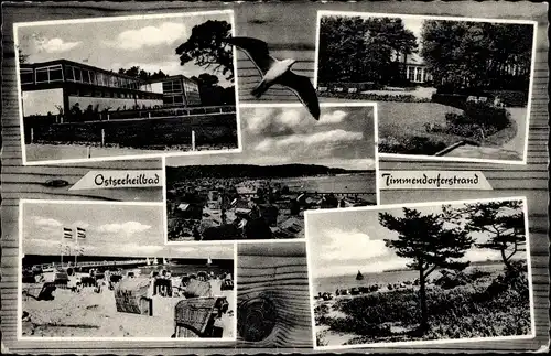 Ak Ostseebad Timmendorfer Strand, Teilansichten, Strand, Dünen, Möwe