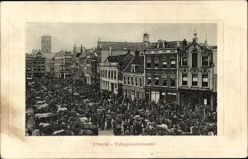 Ak Utrecht Niederlande, Palmpaardenmarkt