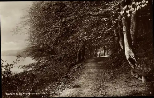 Ak Gremsmühlen Malente in Ostholstein, Im Holm