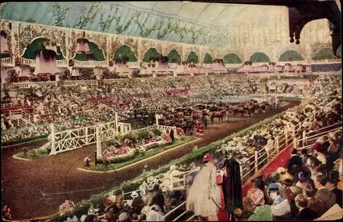 Ak London England, International Horse Show, Olympia, 1929