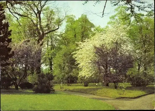 Ak Berlin Treptow Baumschulenweg, Arboretum Späthstraße, Museum für Naturkunde, Humboldt-Universität