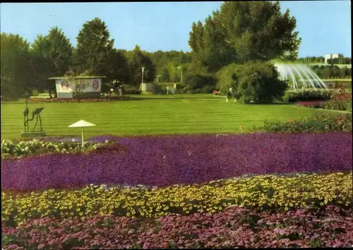 Ak Erfurt in Thüringen, iga, große Blumenwiese