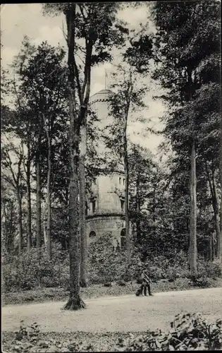 Ak Schönwalde am Bungsberg in Ostholstein, Elisabethturm