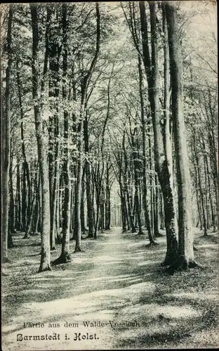 Ak Vossloch Bokholt Hanredder in Holstein, Wald