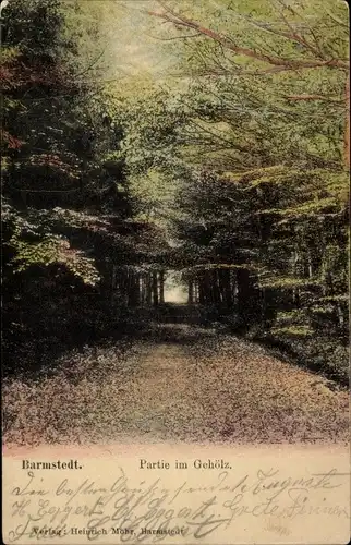 Ak Barmstedt in Holstein, Gehölz, Waldweg