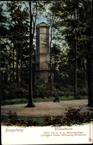 Ak Schönwalde am Bungsberg in Ostholstein, Elisabethturm auf dem Bungsberg